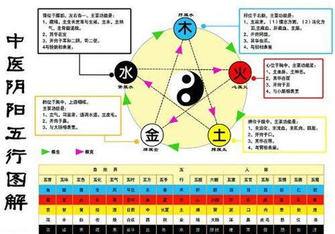 水 金 五行|金生水（五行对应关系）